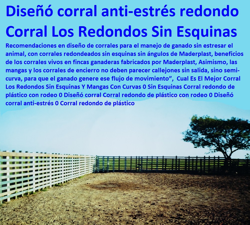 Cual Es El Mejor Corral Los Redondos Sin Esquinas Y Mangas Con Curvas 0 Sin Esquinas Corral redondo de plástico con rodeo 0 Diseñó corral Corral redondo de plástico con rodeo 0 Diseñó corral anti-estrés 0 Corral redondo de plástico Cual Es El Mejor Corral Los Redondos Sin Esquinas Y Mangas Con Curvas 0 Mangas De Coleo, Corral Caballerizas, Pesebreras De Caballos, Plaza Toros, Brete Ganadero, Apretaderos Embarcaderos, Postes Tablas, Polines Varetas, Mangas De Coleo, Horcones Madera Plástica, Corrales, Establos De Ganado, Sin Esquinas Corral redondo de plástico con rodeo 0 Diseñó corral Corral redondo de plástico con rodeo 0 Diseñó corral anti-estrés 0 Corral redondo de plástico